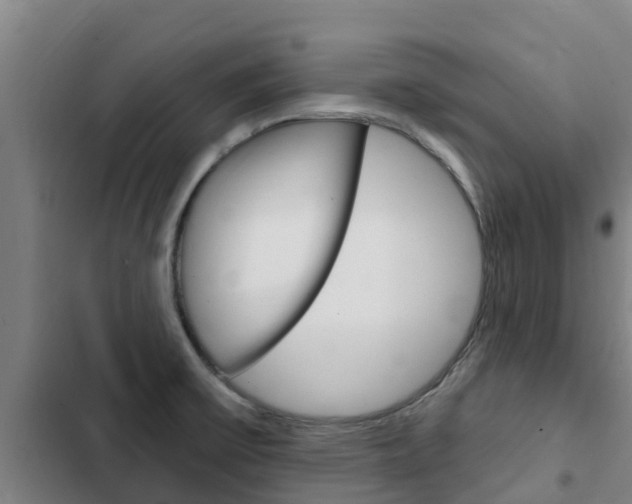X0000103231475200808280938