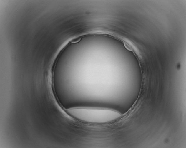 X0000103231476200808280938