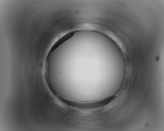 X0000103231477200808280938