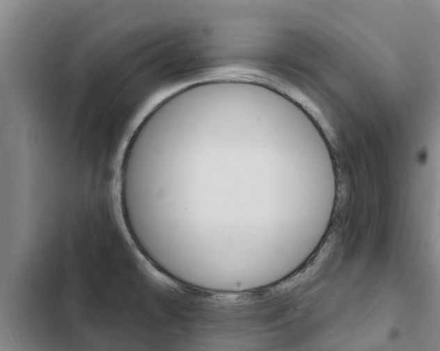 X0000103231478200808280938