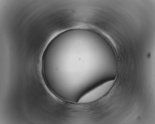 X0000103231479200808280938