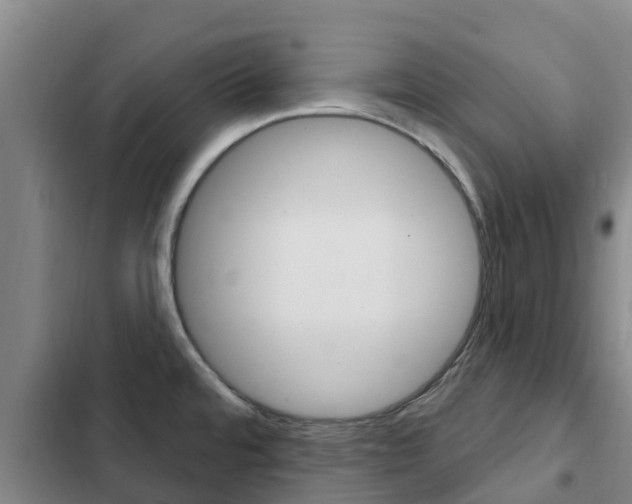 X0000103231480200808280938