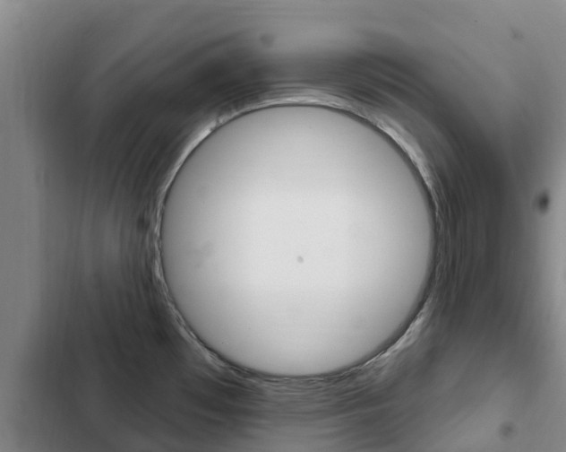 X0000103231481200808280938