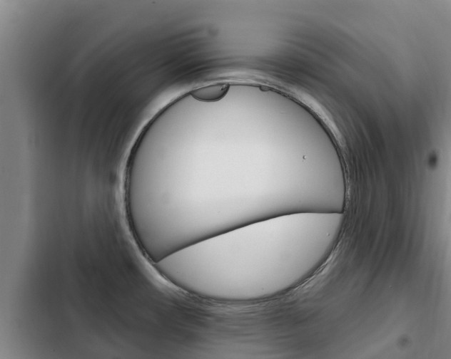X0000103231482200808280938