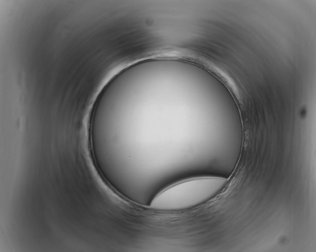 X0000103231483200808280938