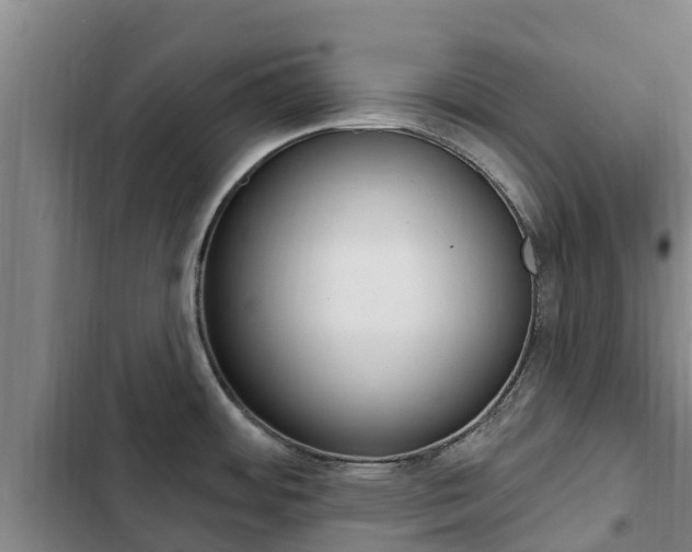 X0000103231484200808280938