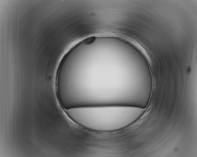 X0000103231485200808280938