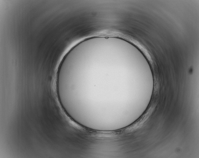X0000103231486200808280938