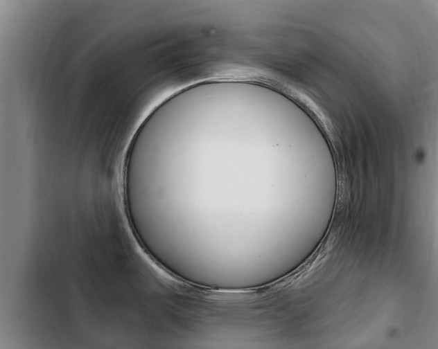 X0000103231487200808280938