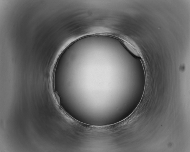 X0000103231488200808280937