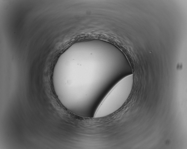 X0000103231489200808280937
