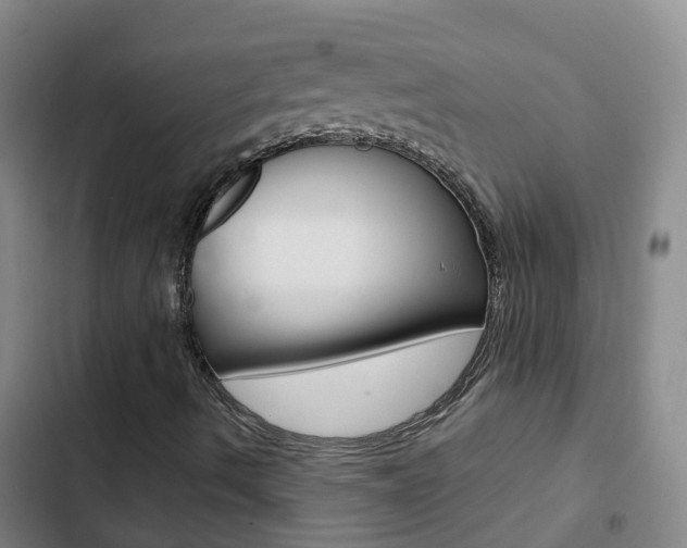 X0000103231490200808280937
