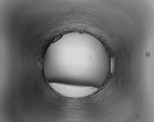 X0000103231491200808280937