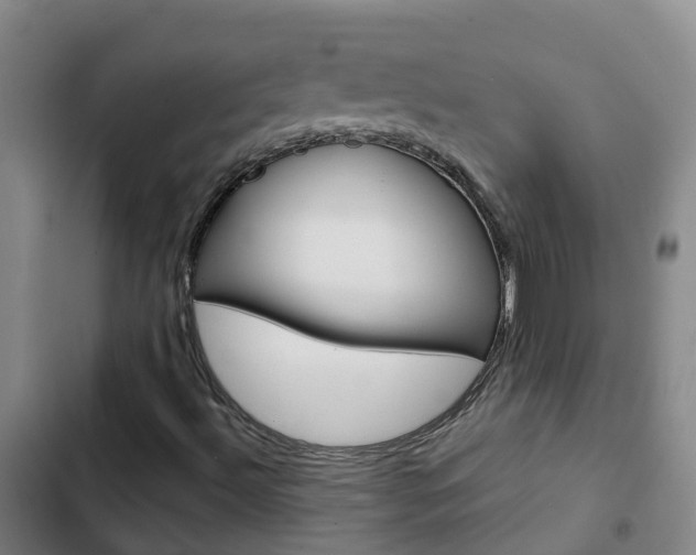 X0000103231492200808280937