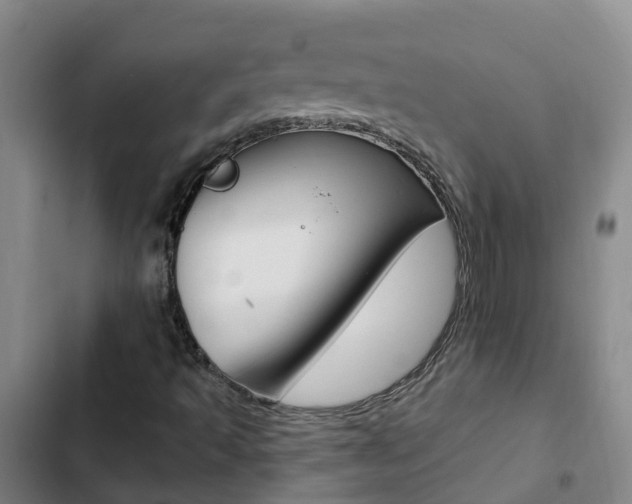 X0000103231493200808280937