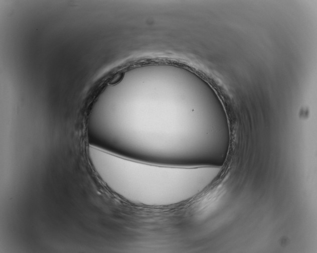X0000103231494200808280937
