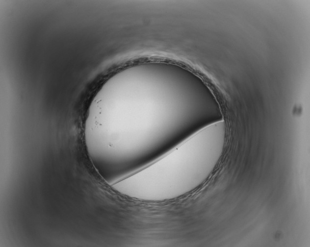X0000103231495200808280937