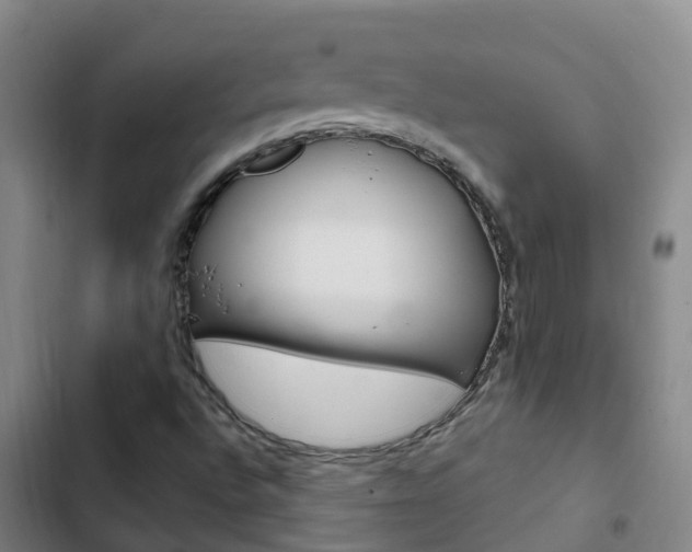 X0000103231496200808280937