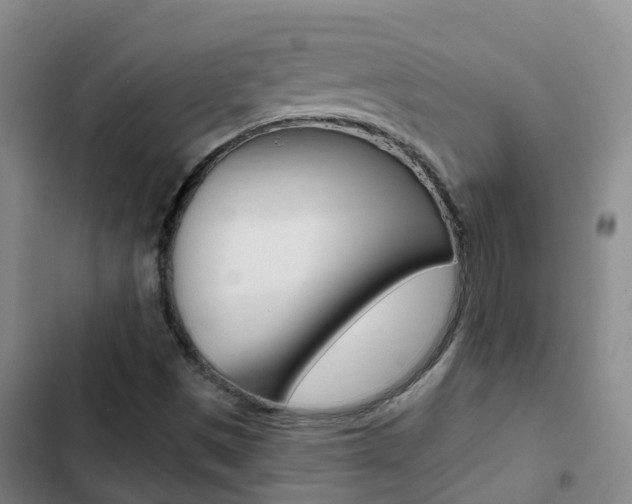 X0000103231497200808280937