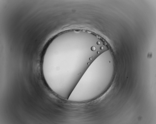 X0000103231498200808280937