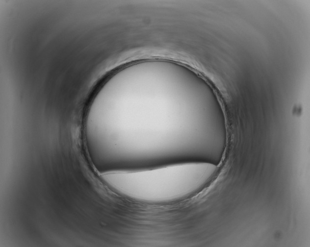 X0000103231499200808280937