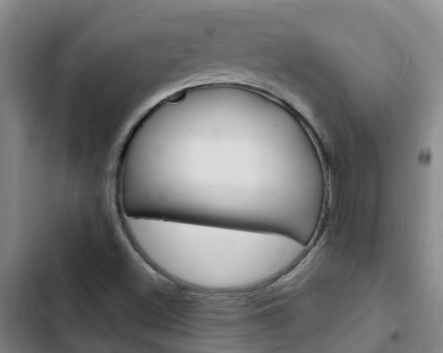 X0000103231500200808280937