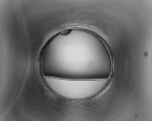 X0000103231501200808280937