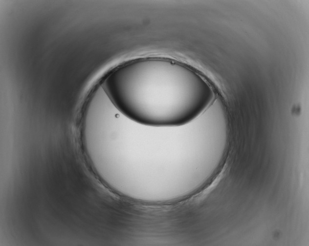 X0000103231502200808280937
