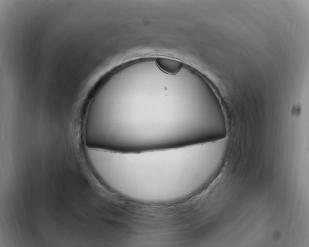 X0000103231503200808280937