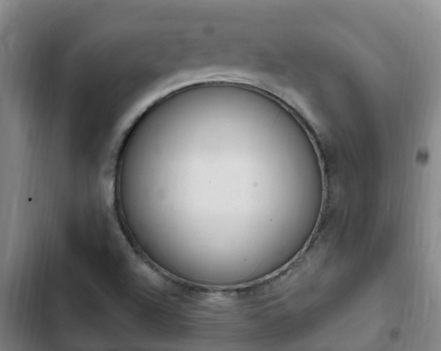 X0000103231504200808280937