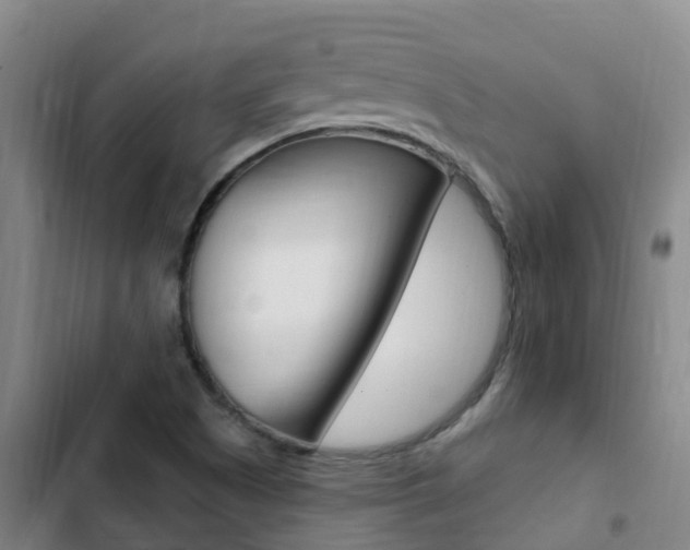 X0000103231505200808280937