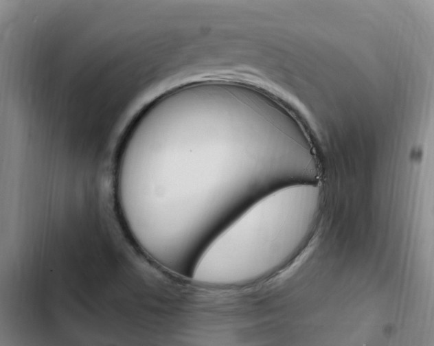 X0000103231506200808280937