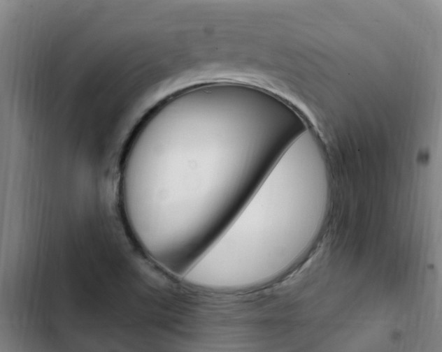 X0000103231507200808280937