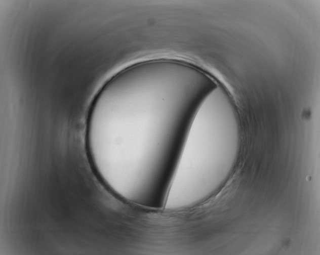 X0000103231508200808280937