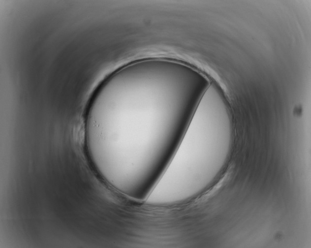 X0000103231509200808280937