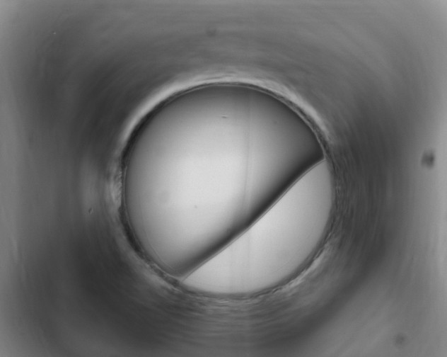 X0000103231510200808280937