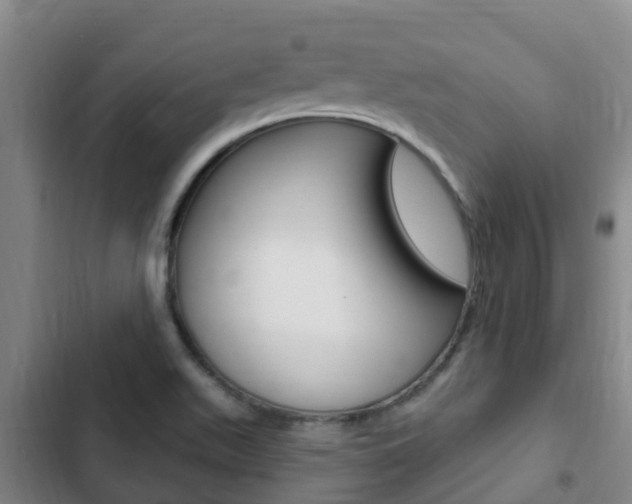 X0000103231511200808280937