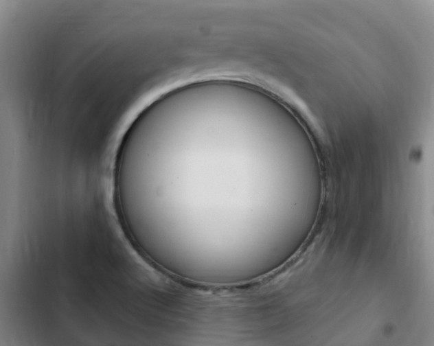 X0000103231512200808280937