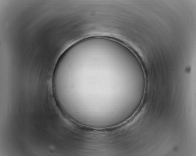 X0000103231513200808280937