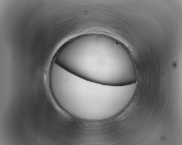 X0000103231515200808280937