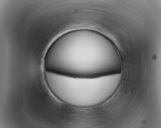 X0000103231516200808280937
