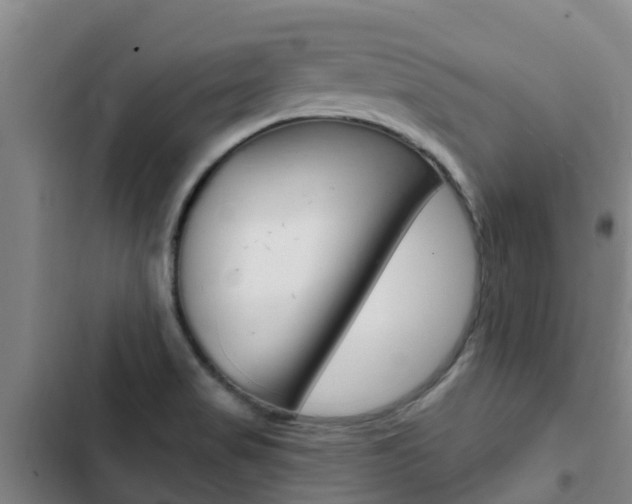 X0000103231517200808280937