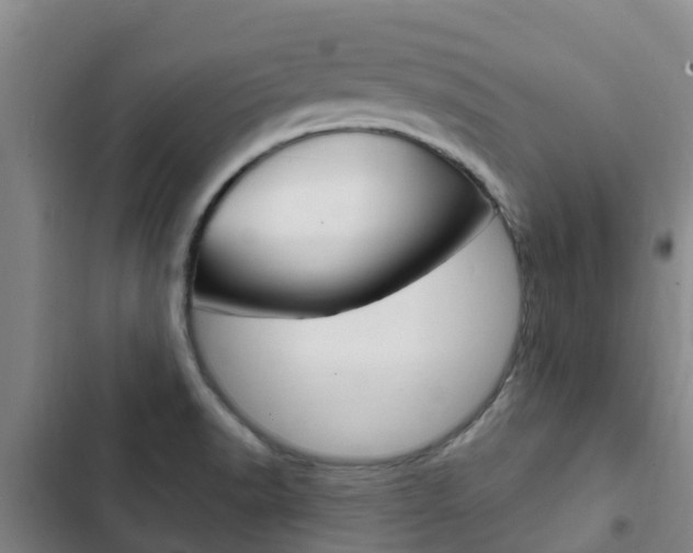 X0000103231518200808280937