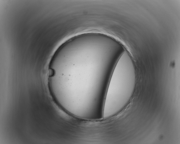 X0000103231519200808280937