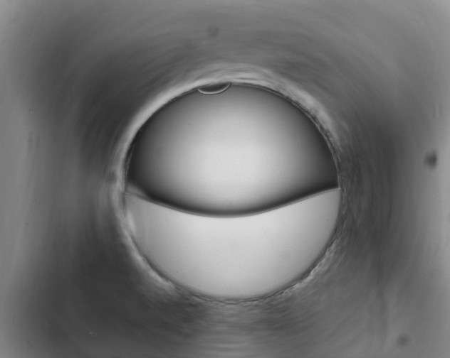 X0000103231520200808280937