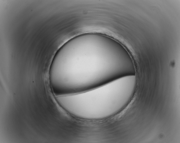 X0000103231521200808280937