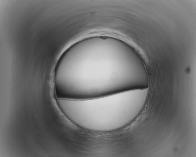 X0000103231522200808280937
