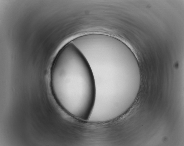 X0000103231523200808280937