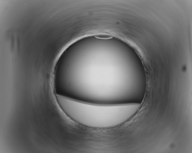 X0000103231524200808280937