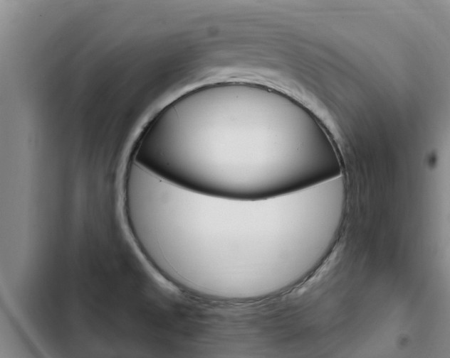 X0000103231525200808280937